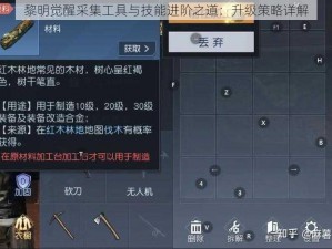 黎明觉醒采集工具与技能进阶之道：升级策略详解