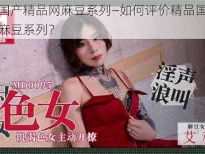 精品国产精品网麻豆系列—如何评价精品国产精品网麻豆系列？