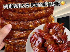 香肠视频加密通道—香肠视频加密通道：保护隐私的最佳选择