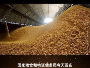 大豆行情网直接入口;大豆行情网直接入口：实时更新，助力大豆产业发展