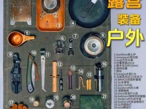 荒野行动物资攻略：高效获取物资的方法与途径解析