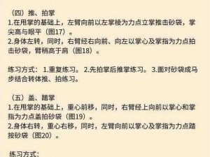 功夫少林手游单人PK技巧解析：深度探讨手游战斗策略与操作技巧