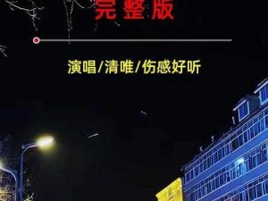 抖音秋风萧瑟凛冽飞舞风雪旋律揭秘：寻找那首漫天飘雪之歌