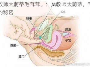 女教师大荫蒂毛茸茸、：女教师大荫蒂，毛茸茸的秘密