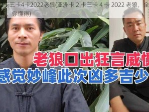 亚洲卡2卡三卡4卡2022老狼(亚洲卡 2 卡三卡 4 卡 2022 老狼，全新资源不断更新，你懂得)