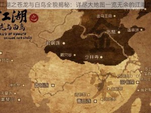 大江湖之苍龙与白鸟全貌揭秘：详尽大地图一览无余的江湖世界