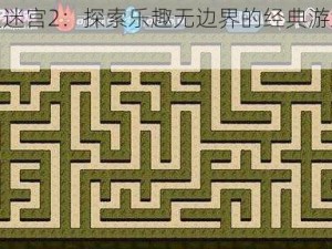 双人迷宫2：探索乐趣无边界的经典游戏体验