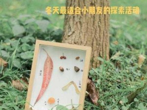 以花与剑为引，探寻油桐树种子获取之旅