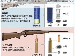 黎明之路散弹枪大全：全面解析各类散弹枪性能与效果数据汇总报告