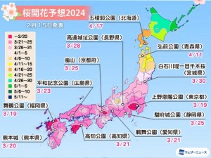 樱花官网官方入门网站2023 樱花官网官方入门网站 2023 怎么进入？