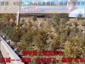 速通理塘：B站热门挑战现象揭秘，探寻网络梗背后的故事