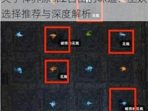 关于神界原罪2自由的味道：巫妖选择推荐与深度解析