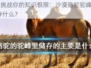 小鸡宝宝挑战你的知识极限：沙漠骆驼驼峰的秘密功能——储存什么？