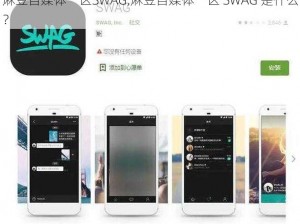 麻豆自媒体一区SWAG,麻豆自媒体一区 SWAG 是什么？