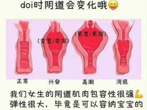 男女之间的唏唏哩哩的过程,男女之间的私密过程：探索两性关系的奥秘