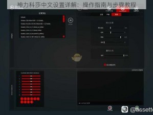 神力科莎中文设置详解：操作指南与步骤教程