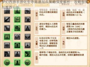 梦幻西游手游化生寺高速加点策略深度解析：攻略指南与推荐分析