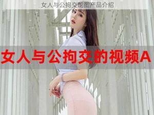 女人与公拘交酡图产品介绍