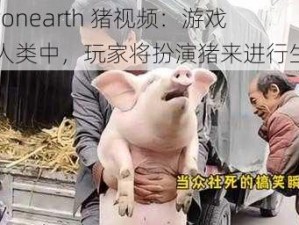 lastdayonearth 猪视频：游戏最后的人类中，玩家将扮演猪来进行生存挑战