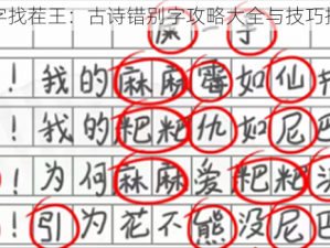 汉字找茬王：古诗错别字攻略大全与技巧指南