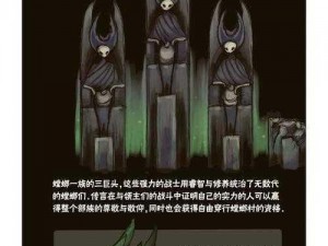 传送门骑士空洞王攻略：集中打击水晶核心战术解析