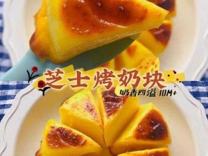 奶块奶酪获取攻略：四种制作要领任你挑选，轻松掌握制作技巧