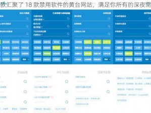 一款汇聚了 18 款禁用软件的黄台网站，满足你所有的深夜需求