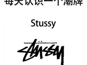 stussy官网入口 Stussy 官网入口在哪里？