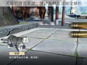 天涯明月刀手游：猫之友触发攻略全解析