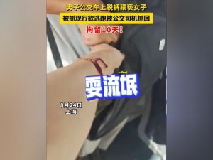 公交车上高潮-：男子在公交车上欲对女乘客实施侵犯