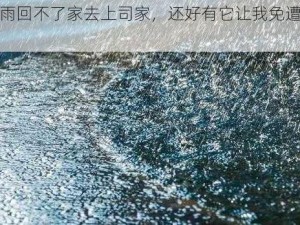 暴雨回不了家去上司家，还好有它让我免遭雨淋