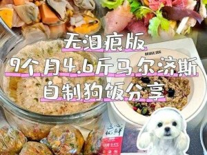 人狗胶配方大全——让你的宠物健康又美味