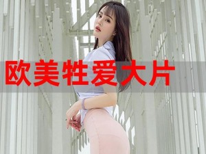 欧美牲交VIDEOSSEXES-探索欧美牲交相关的 VIDEOSEXES，你需要知道这些