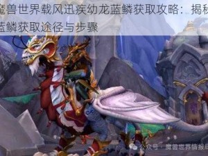 魔兽世界载风迅疾幼龙蓝鳞获取攻略：揭秘蓝鳞获取途径与步骤