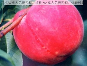 红桃Av成人免费视频、红桃 Av 成人免费视频，你看过吗？