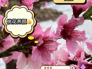 国精产品一区一区三区mba桃花【国精产品一区一区三区 mba 桃花：是什么？有何作用？】