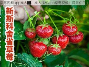 ▓草莓视频app成人▓、成人视频app草莓视频：满足你的欲望