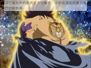 圣斗士星矢中的童虎全方位解析：小宇宙深度探索与童虎阵容搭配指南