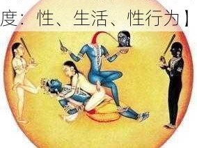 印度性生生活性生交【印度：性、生活、性行为】