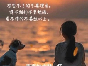 抖音若隐退舞台，昔日繁华成回忆，一曲不过问的旋律回响时光长廊