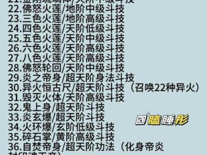 关于斗气大陆斗技大全的全面解析与深度探讨