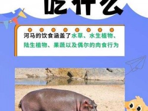 夹缝求生河马河马_夹缝求生的河马河马，究竟该如何生存？