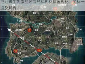 绝地求生刺激战场海岛枫树林位置揭秘：坐标一览及解析