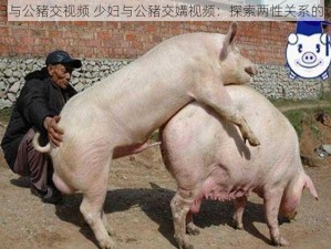 少妇与公豬交视频 少妇与公豬交媾视频：探索两性关系的边界