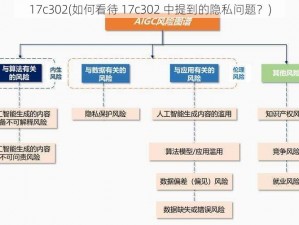 17c302(如何看待 17c302 中提到的隐私问题？)