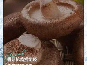 关于缺氧环境中醇锦菇的神奇功效及其应用探究