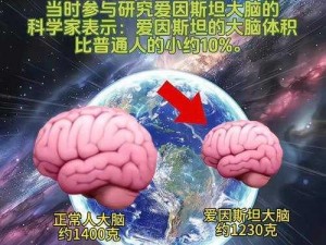 地上掉落的真钱如何智慧地捡拾：燃烧吧我的大脑第36关揭秘