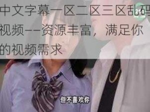 中文字幕一区二区三区乱码视频——资源丰富，满足你的视频需求