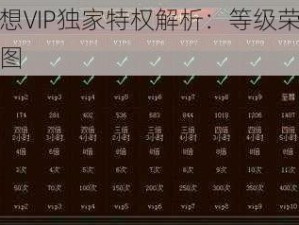 仙侠梦想VIP独家特权解析：等级荣誉与特权一览图