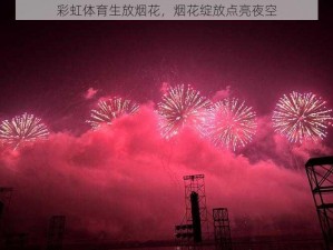 彩虹体育生放烟花，烟花绽放点亮夜空